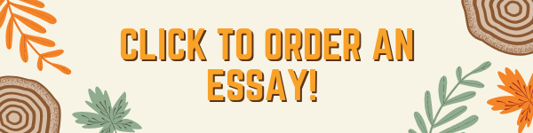 order essay